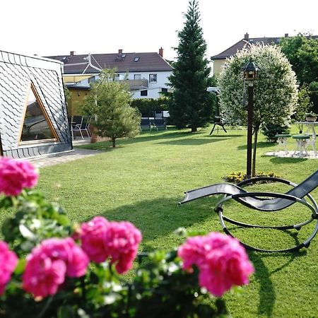 Pension Nr. 13 - B&B Pirna Zewnętrze zdjęcie