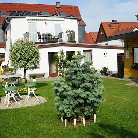 Pension Nr. 13 - B&B Pirna Zewnętrze zdjęcie